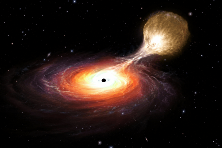 Buco nero errante scoperto mentre divora una stella: il misterioso gigante si trova lontano dal centro della sua galassia Buco nero errante scoperto mentre divora una stella: il misterioso gigante si trova lontano dal centro della sua galassia